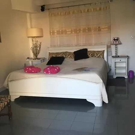 Centre, Piscine, Intime, En Ancienne Apartment Nice